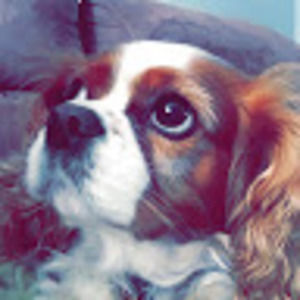 Meet your Posher, Meghan